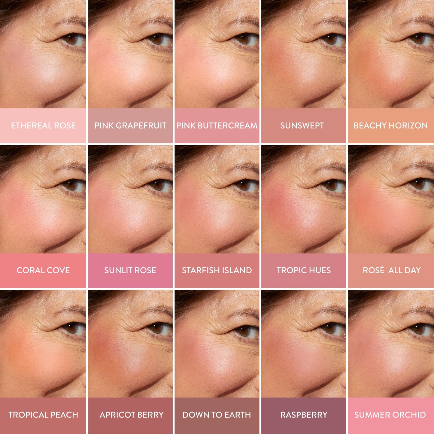 Blush-n-Brighten Macro Model Shade Grid 15 Shades