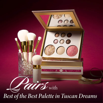 5 pc brush set pairs best with