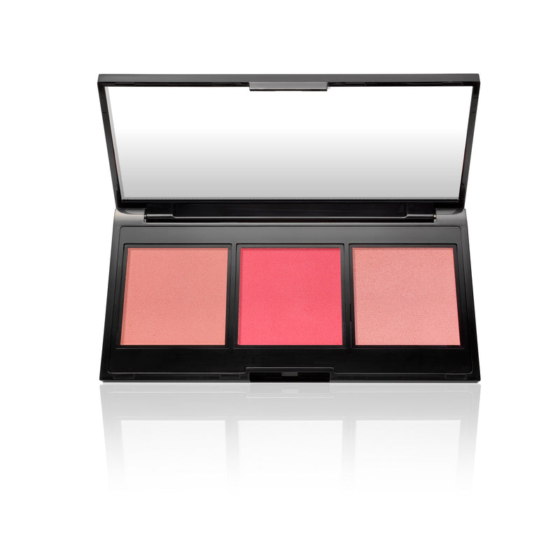 Meet the Pinks Palette Soldier